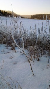 winter in ahrdorf, nabij het huisje