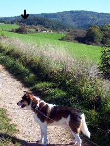 wandelgebied nabij huisje (zie pijl)