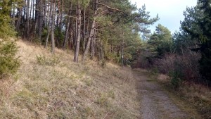 foto wandelpad heuvel vakantiehuis