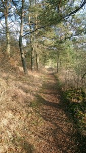 foto wandelpad korte rondwandeling