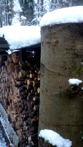 foto sneeuw kachelhout