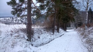 Foto sneeuwlandschap ahrdorf