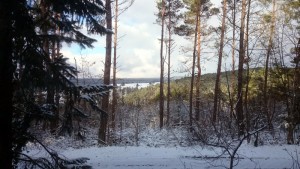 foto uitzicht raam vakantiehuis sneeuw