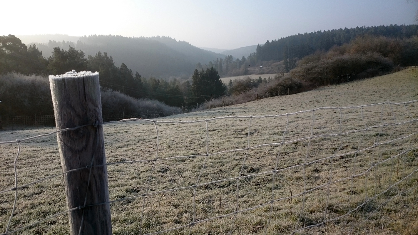 Dauwtrappen