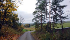 foto herfstkleuren weg naar vakantiehuis