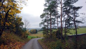 foto herfstkleuren weg naar vakantiehuis