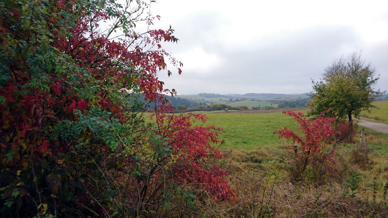 foto herfstkleuren in Ahrdorf