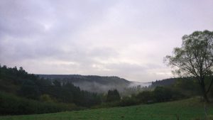 ochtendnevel-oct-2016