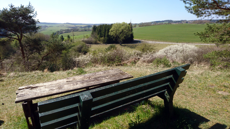 Korte rondwandeling Vakantiehuis Kalkeifel