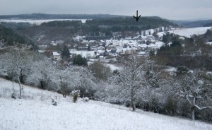 9c - Ahrdorf in de winter, huisje bij pijl in bos        