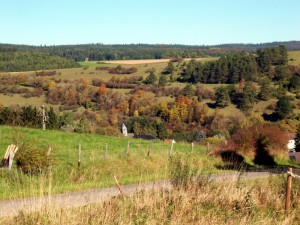 3c - herstlandschap nabij Ahrdorf        