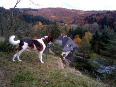 3b - herfst in de Eifel, Bahnhof Ahrdorf        