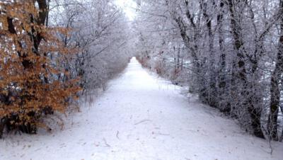 9f - winterlandschap nabij Udenbreth        